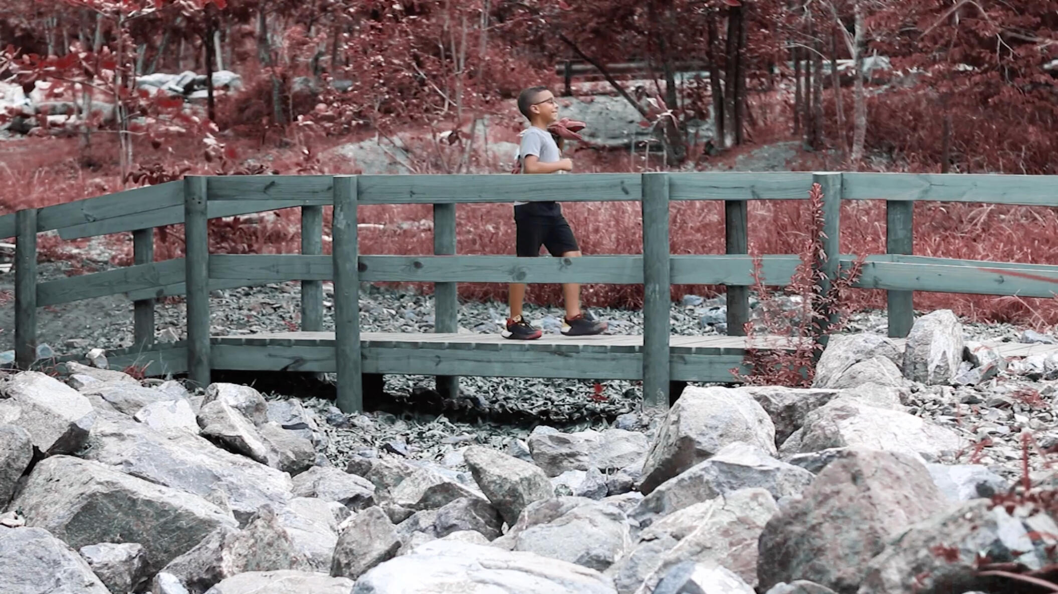 Las Aventuras de Sergio