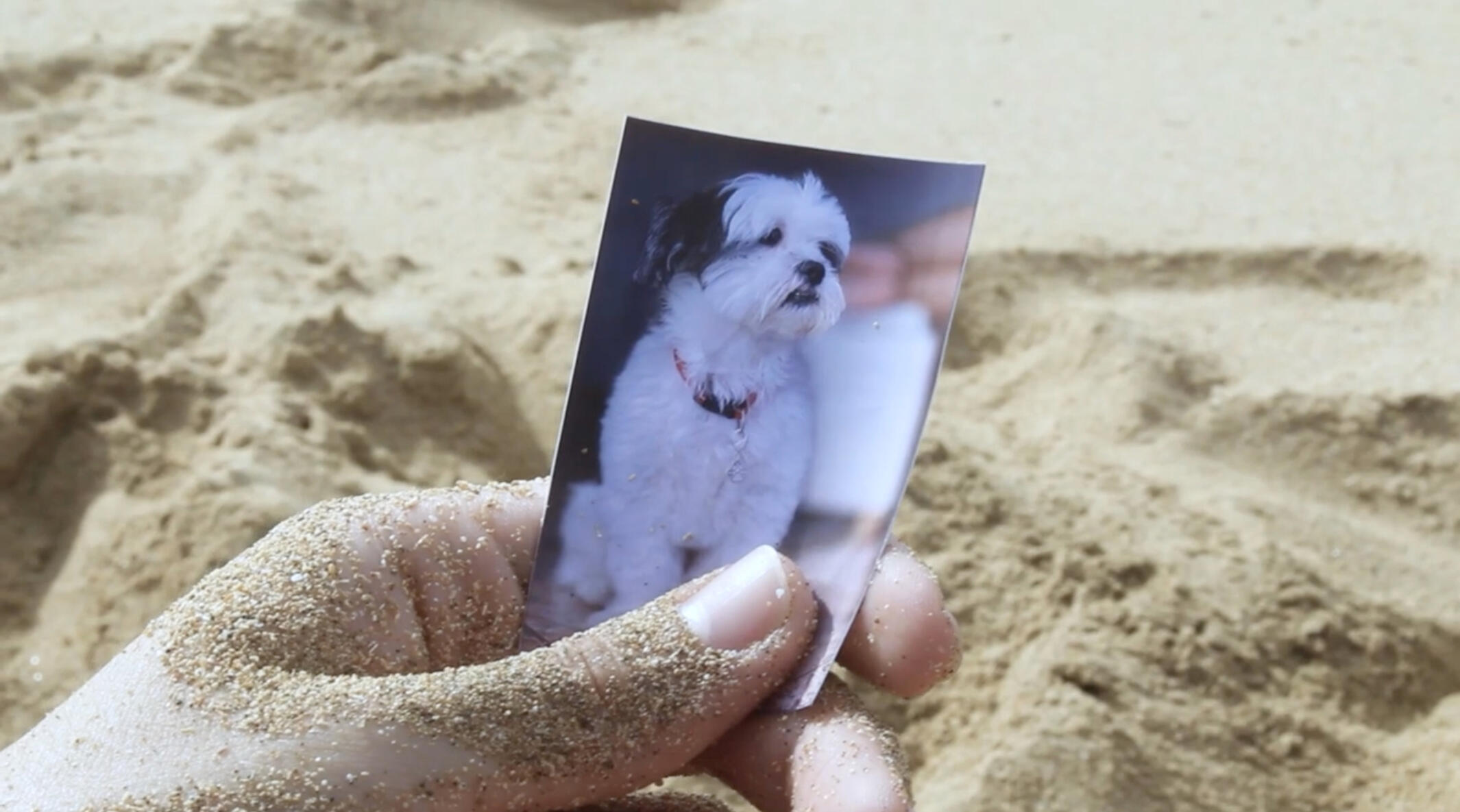 Recuerdos de Cristal